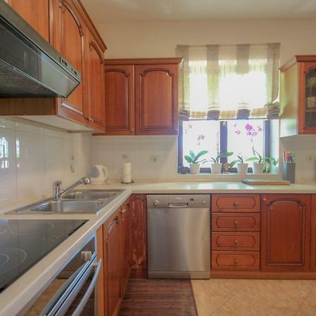 Apartment Sanja Novigrad Istria Buitenkant foto