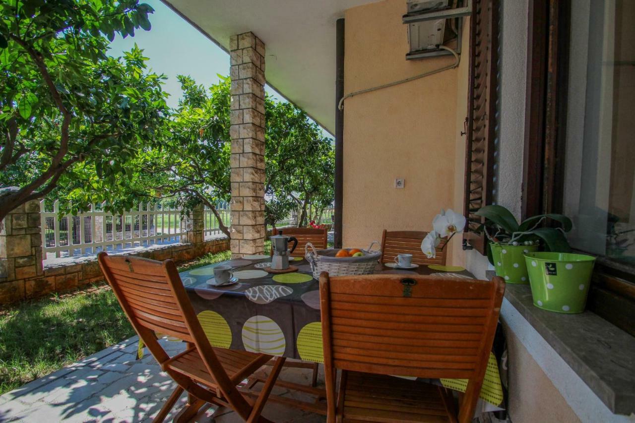 Apartment Sanja Novigrad Istria Buitenkant foto